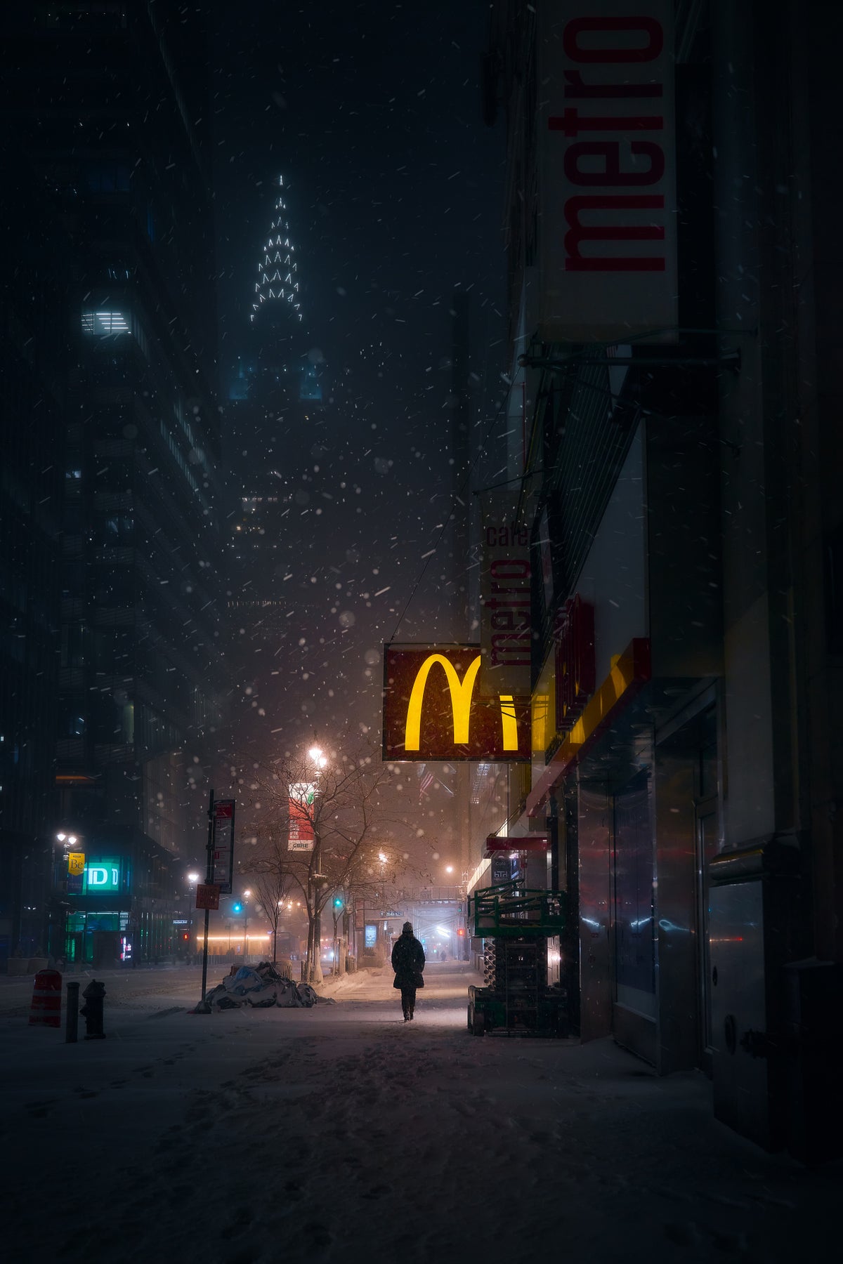 Snowy NYC Poster och Canvastavla