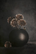 Wandering Shadows Poster och Canvastavla