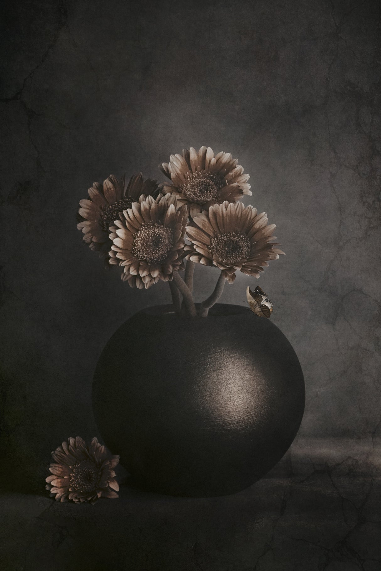 Wandering Shadows Poster och Canvastavla