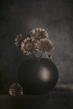 Wandering Shadows Poster och Canvastavla