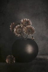 Wandering Shadows Poster och Canvastavla