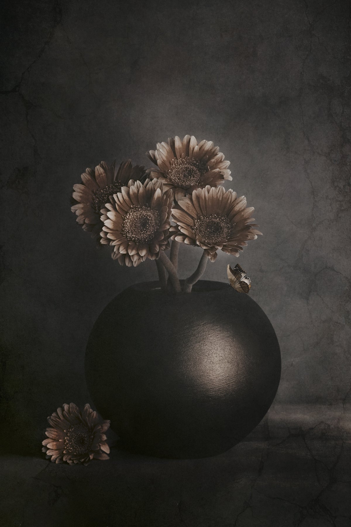 Wandering Shadows Poster och Canvastavla
