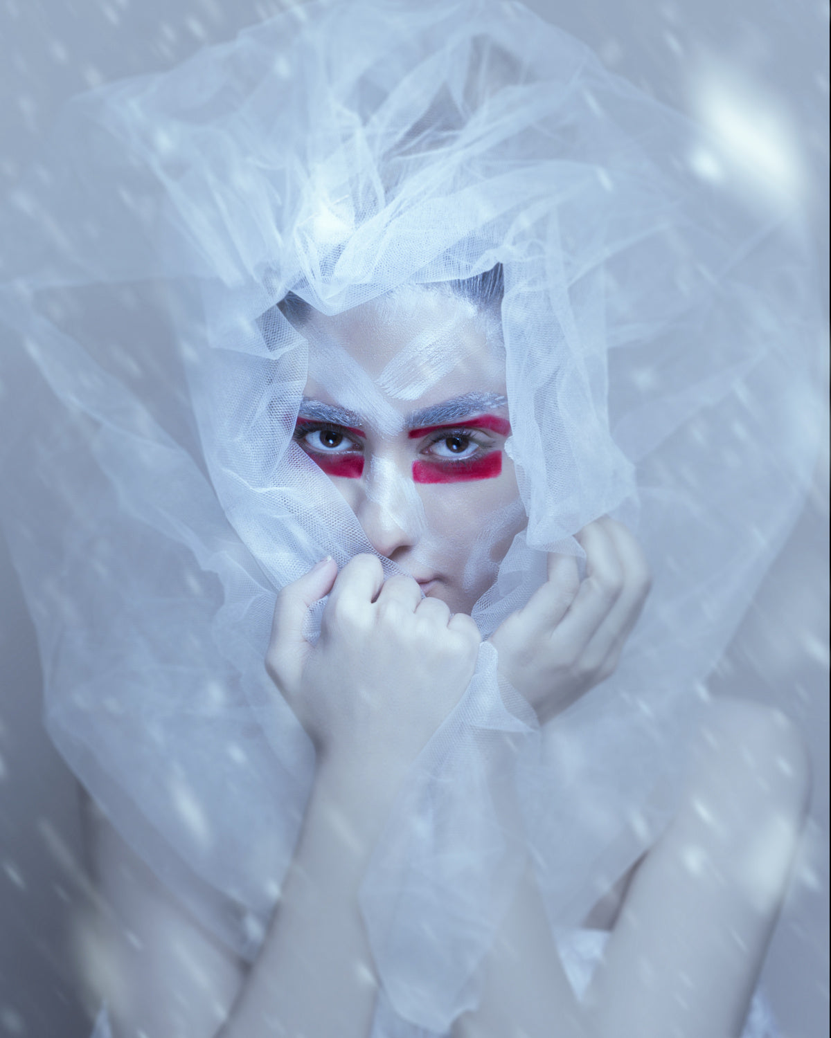Snow queen Poster och Canvastavla