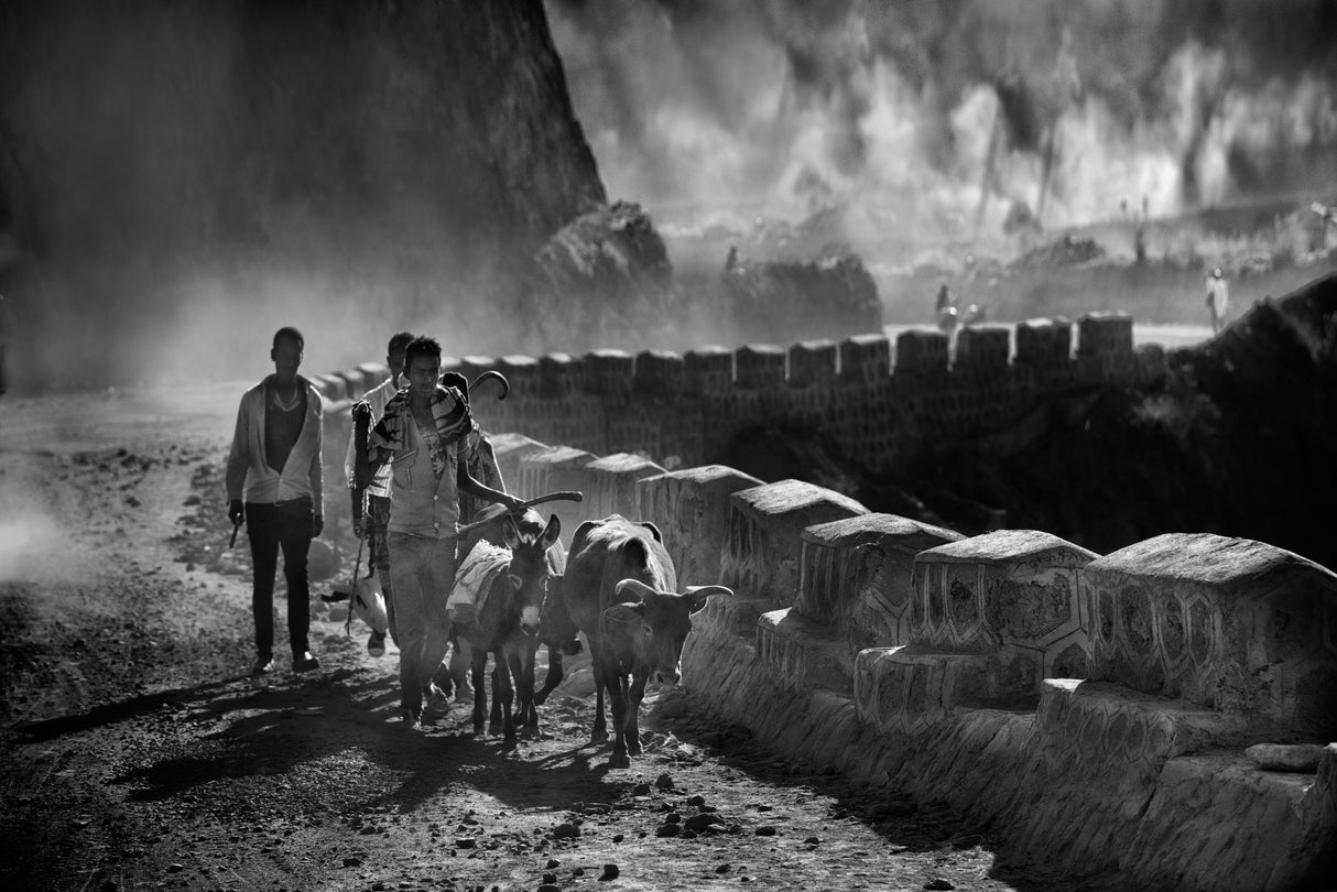 Dust, people and animals Poster och Canvastavla