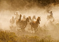 Tending the Herd Poster och Canvastavla