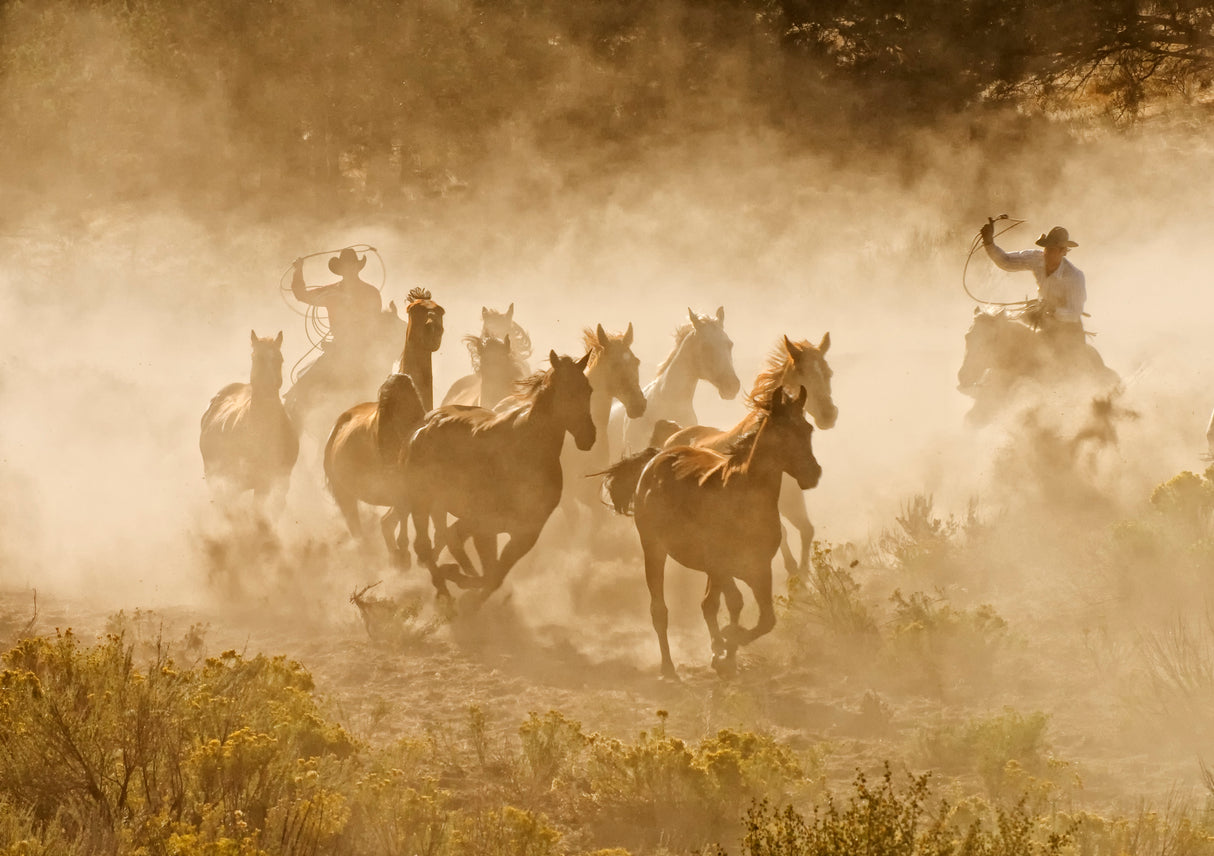 Tending the Herd Poster och Canvastavla