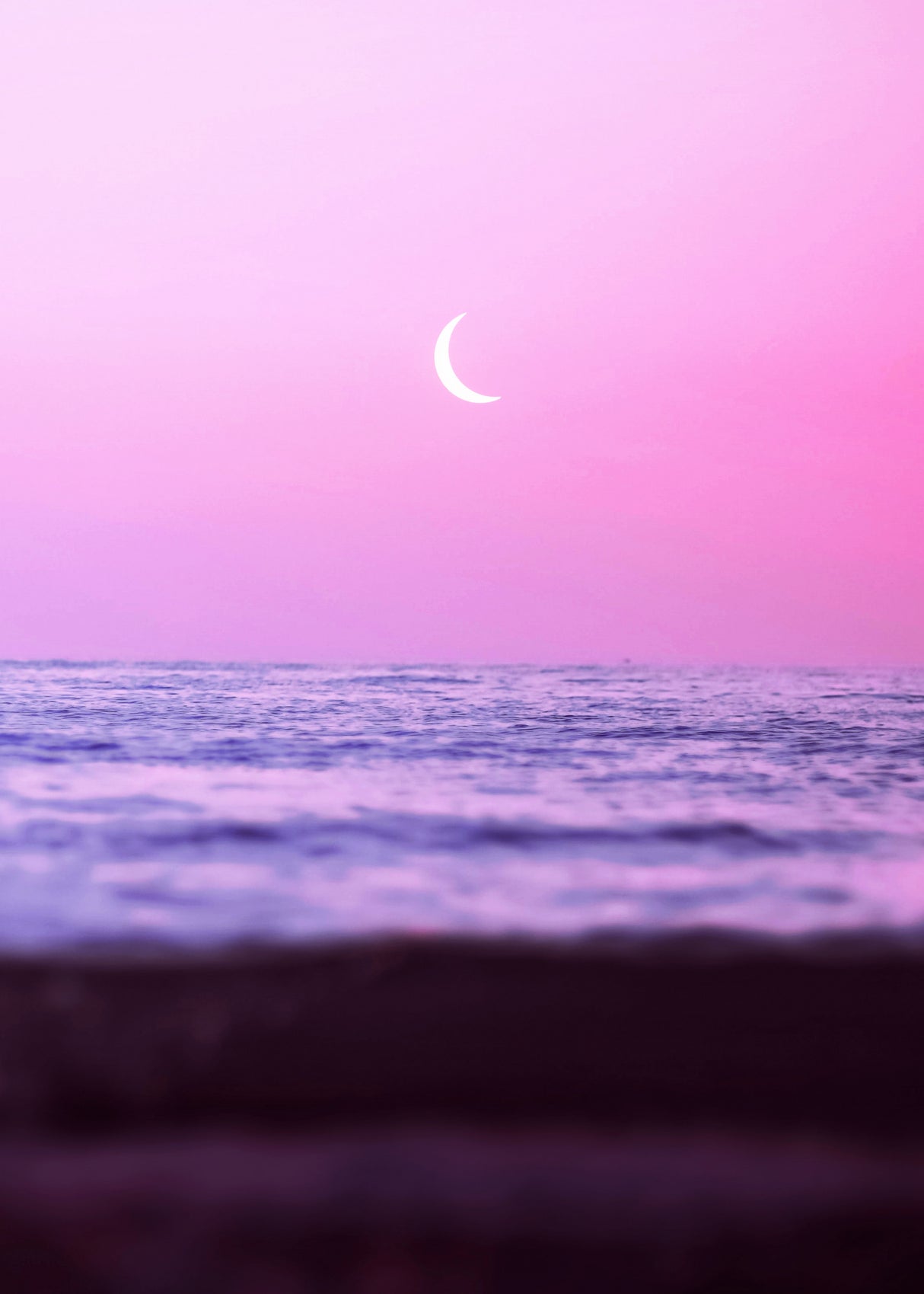 Sweet Ocean Poster och Canvastavla