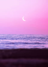 Sweet Ocean Poster och Canvastavla