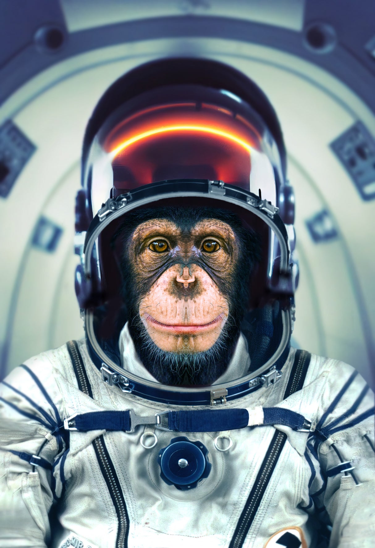 AstroMonkey Poster och Canvastavla