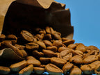 roasted coffee beans Poster och Canvastavla