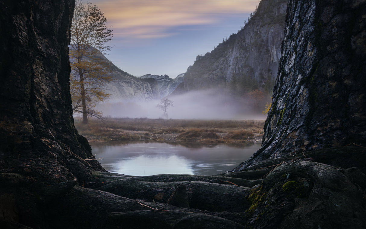 A foggy morning in Yosemite Poster och Canvastavla