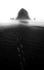 Cannon Beach Poster och Canvastavla