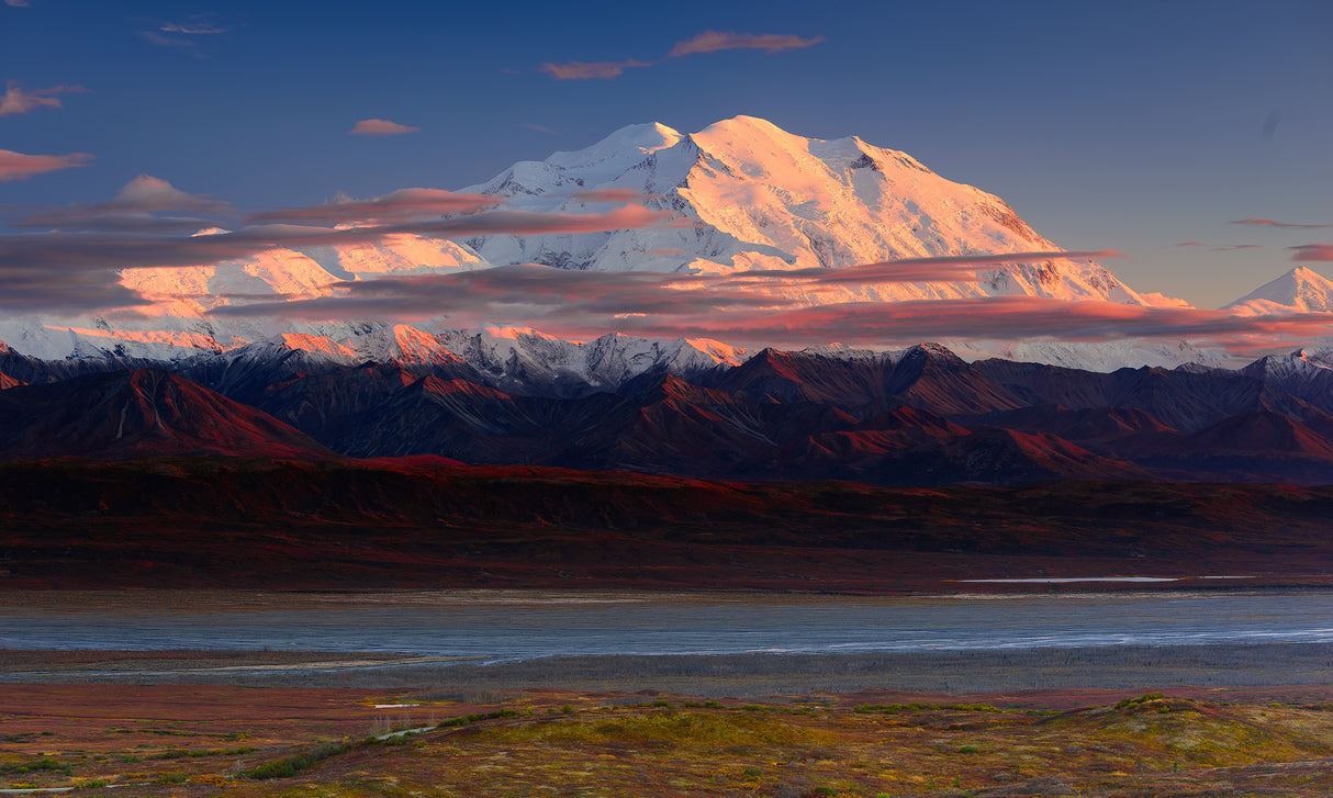 Denali National Park Poster och Canvastavla