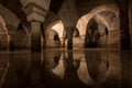 Water in the Crypt Poster och Canvastavla