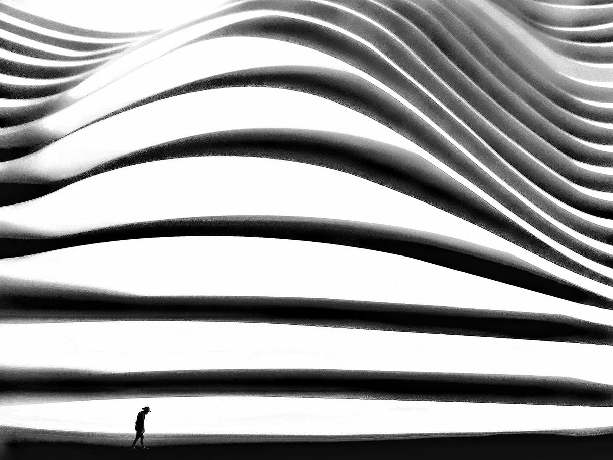 the curvature of loneliness Poster och Canvastavla