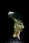 underwater artistic portrait shooting Poster och Canvastavla