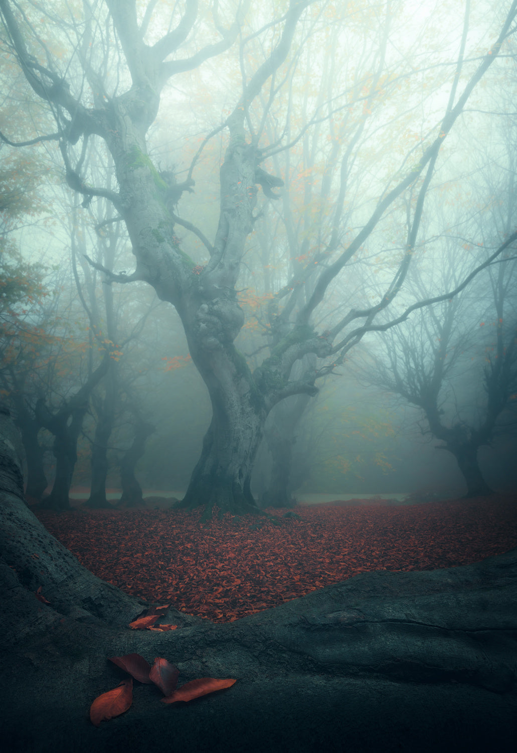 Autumn Signature Poster och Canvastavla