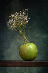Green apple Poster och Canvastavla