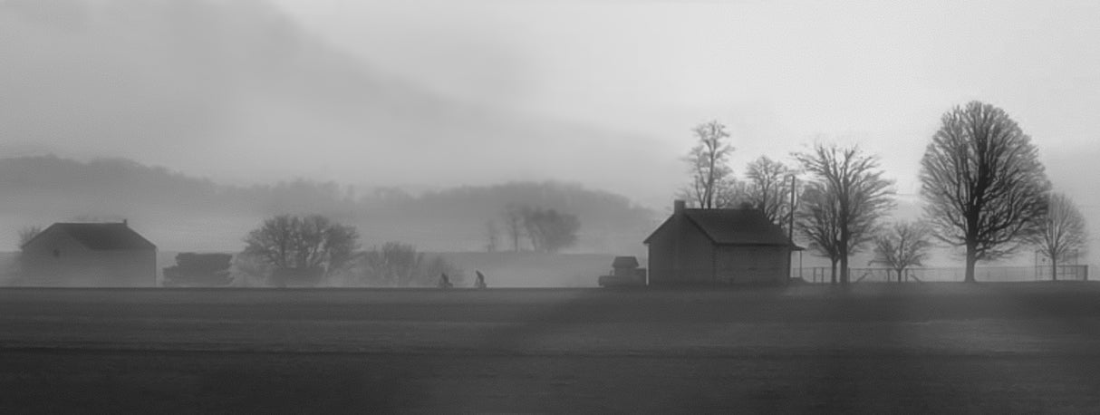 Foggy Morning to school Poster och Canvastavla