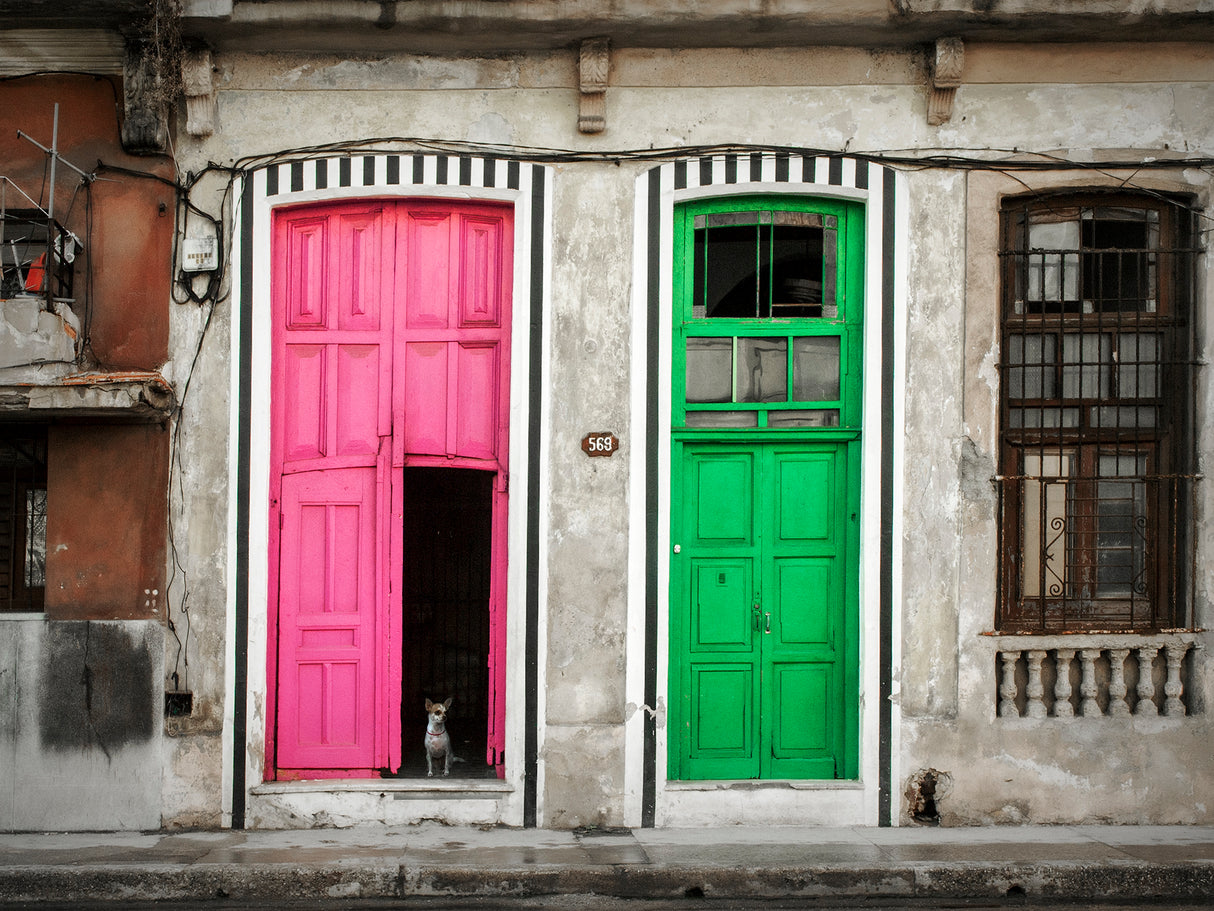 Havana Street ! Poster och Canvastavla