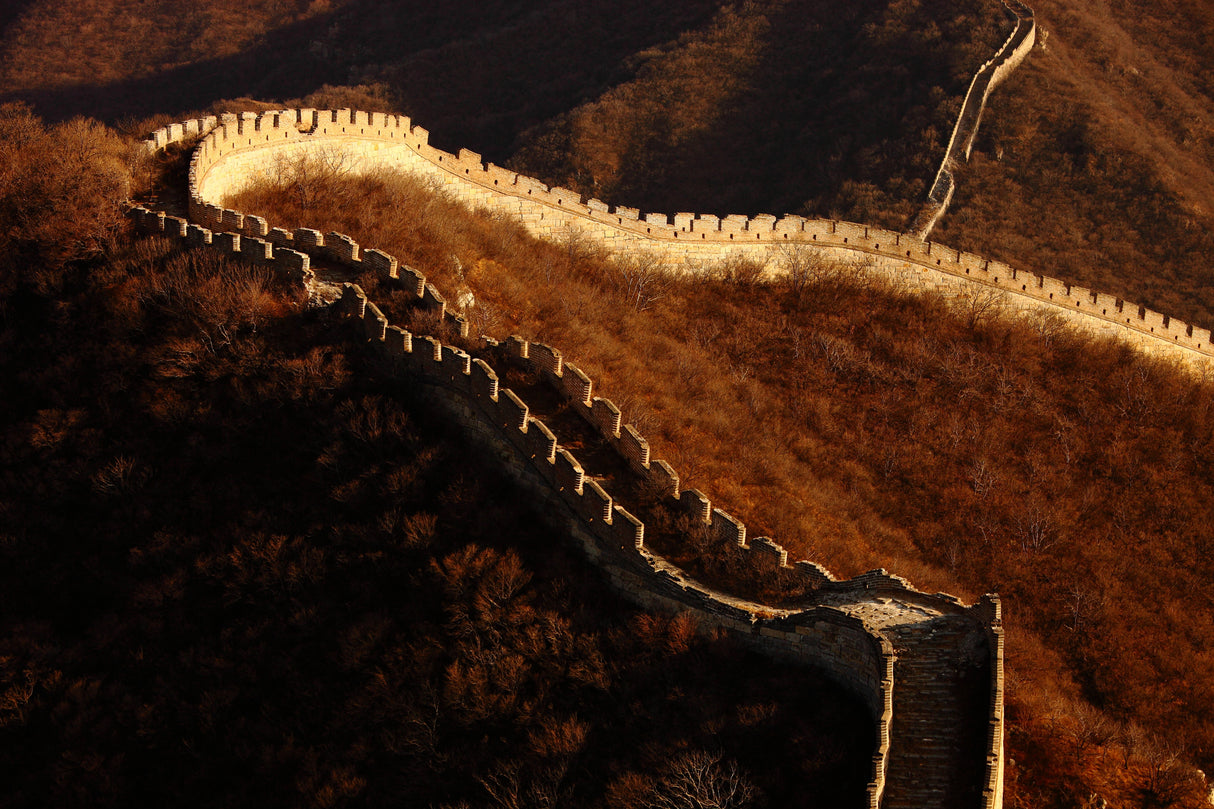 the Great Wall Poster och Canvastavla