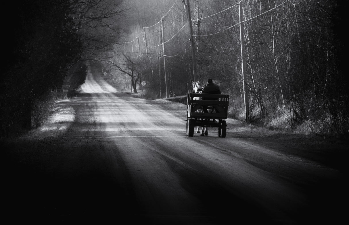 Going home Poster och Canvastavla
