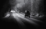 Going home Poster och Canvastavla