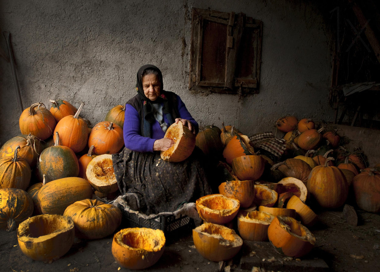 Lady with pumpkins Poster och Canvastavla