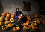 Lady with pumpkins Poster och Canvastavla