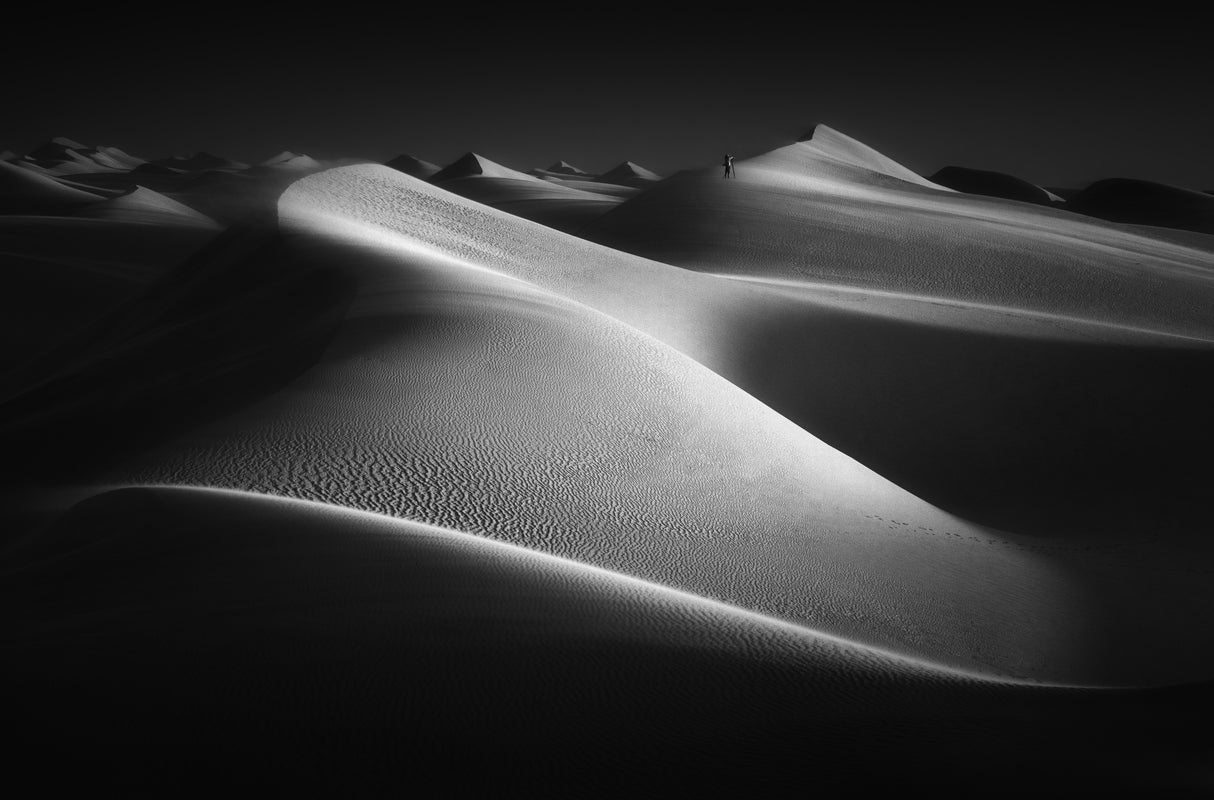 Shades of the desert... Poster och Canvastavla