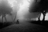 The Fog Poster och Canvastavla