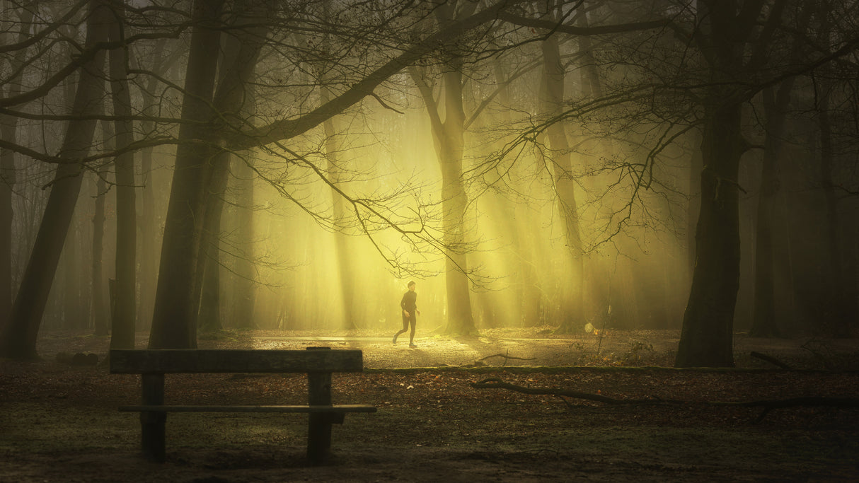 Into the light Poster och Canvastavla