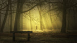 Into the light Poster och Canvastavla
