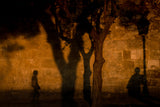 All we are just shadows Poster och Canvastavla