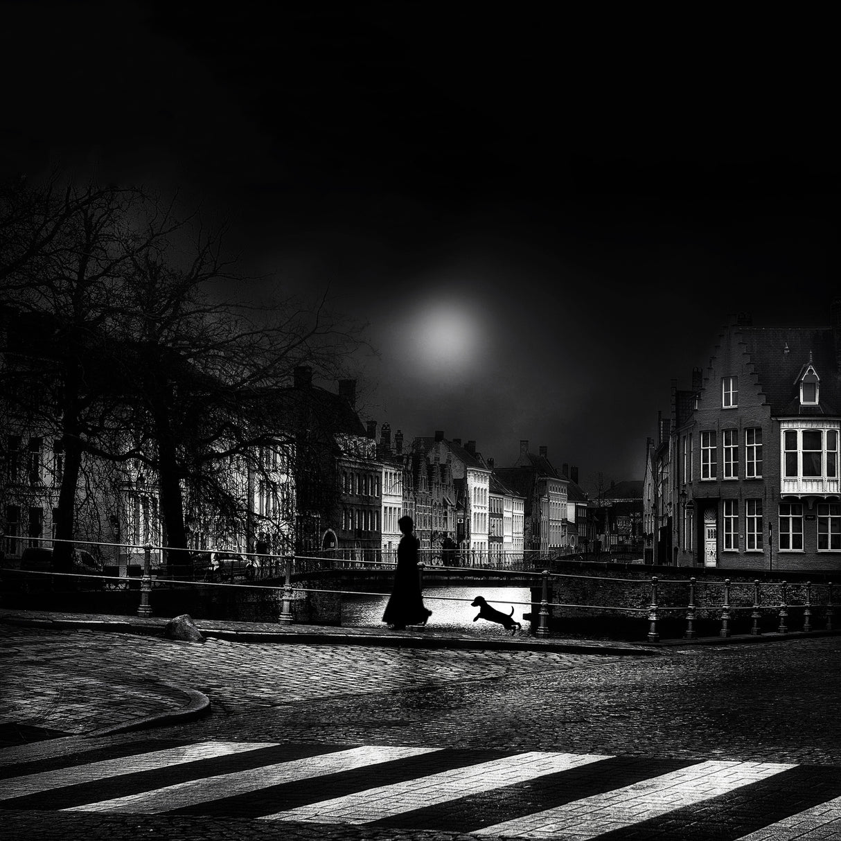 Moonlight stroll Poster och Canvastavla