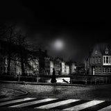 Moonlight stroll Poster och Canvastavla