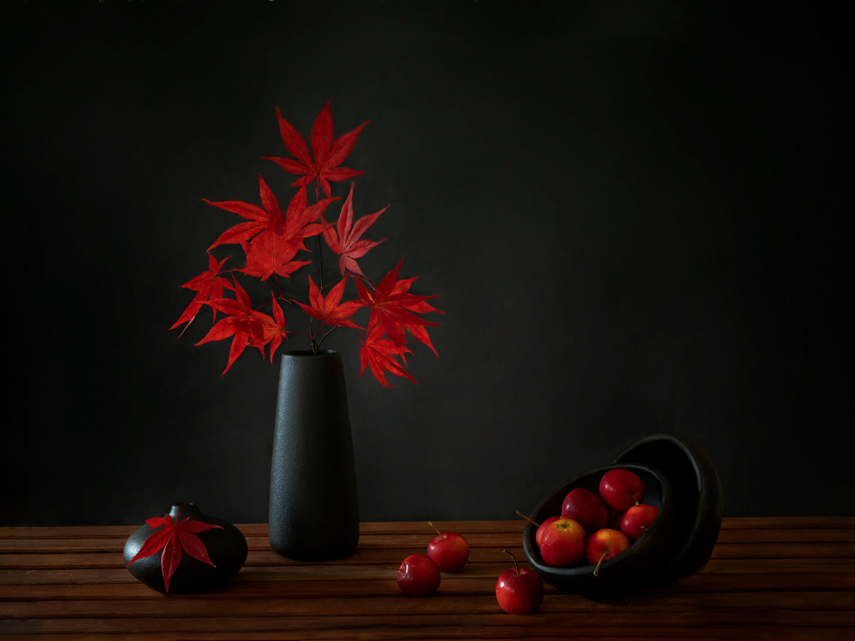 Autumn red II Poster och Canvastavla