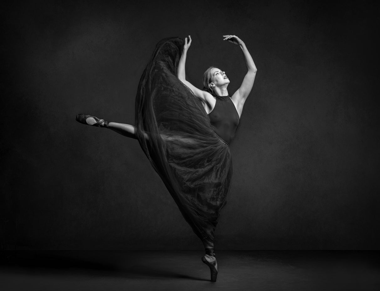 The Lady is Dancing for Me II Poster och Canvastavla