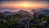 Sunrise on Top Poster och Canvastavla