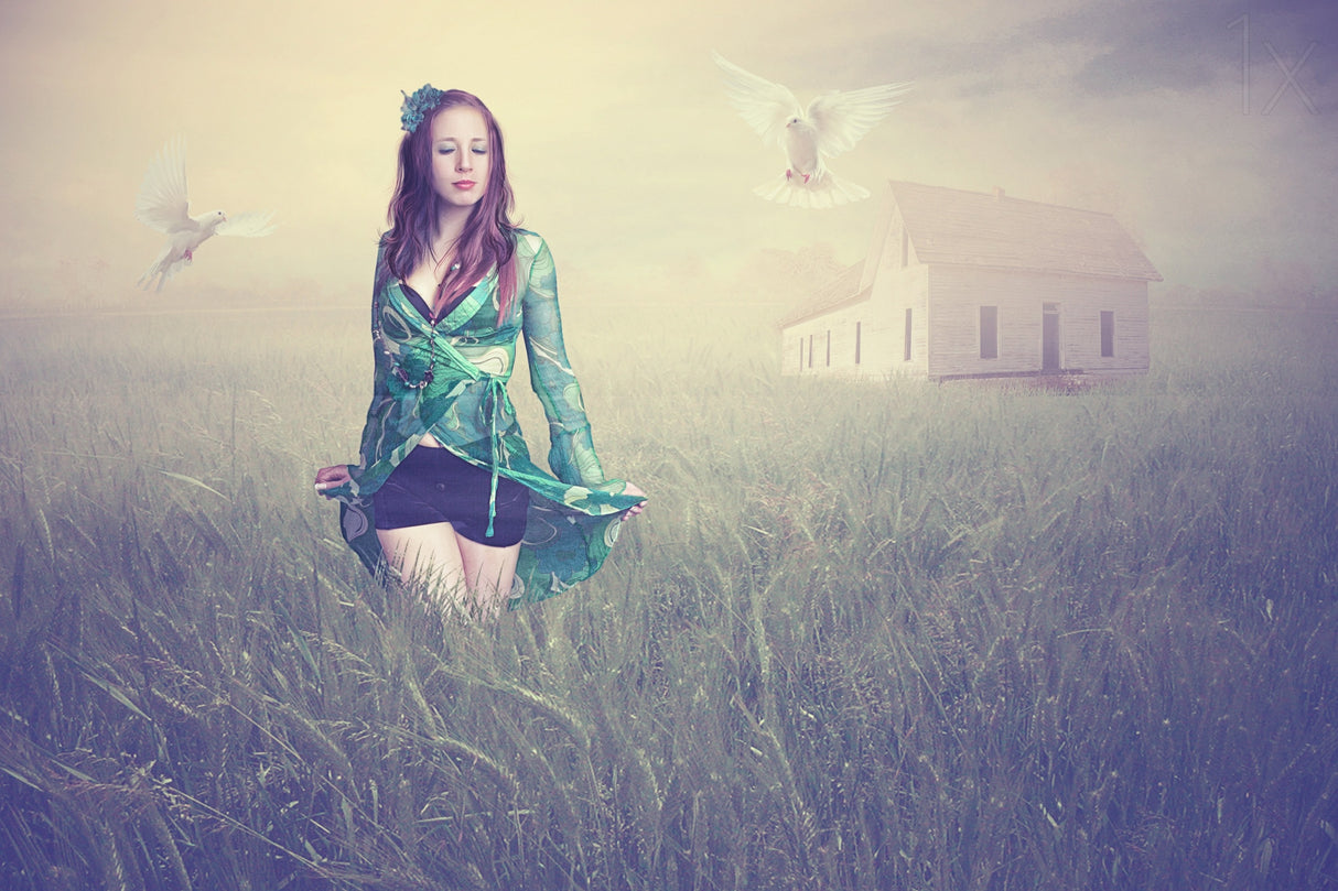 Field of Dreams Poster och Canvastavla