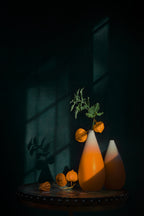 Chinese lantern plant Poster och Canvastavla