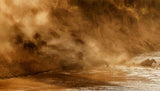 Plunging into the river Poster och Canvastavla