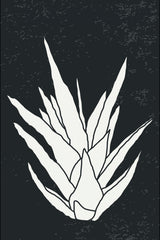 Agave #3 Poster och Canvastavla