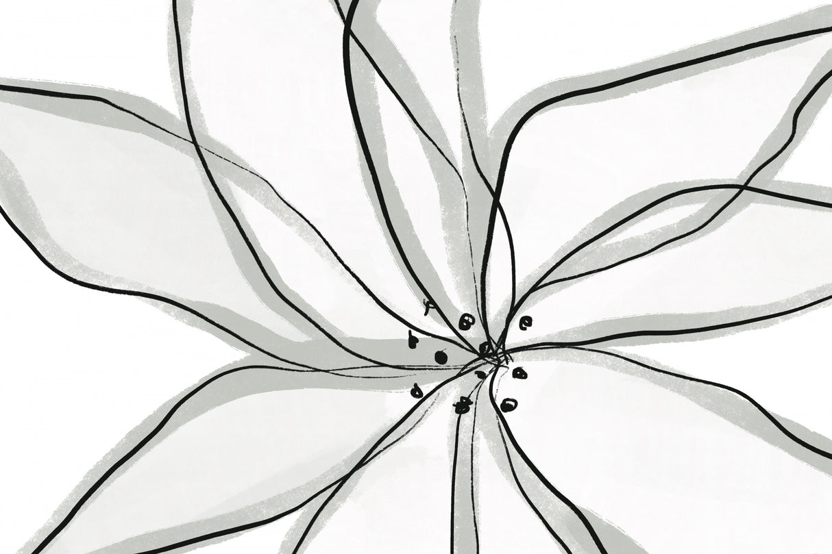 Fragile Flower Poster och Canvastavla