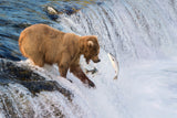 Fishing on the Edge Poster och Canvastavla