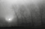 Across the morning mist, the light is pale Poster och Canvastavla