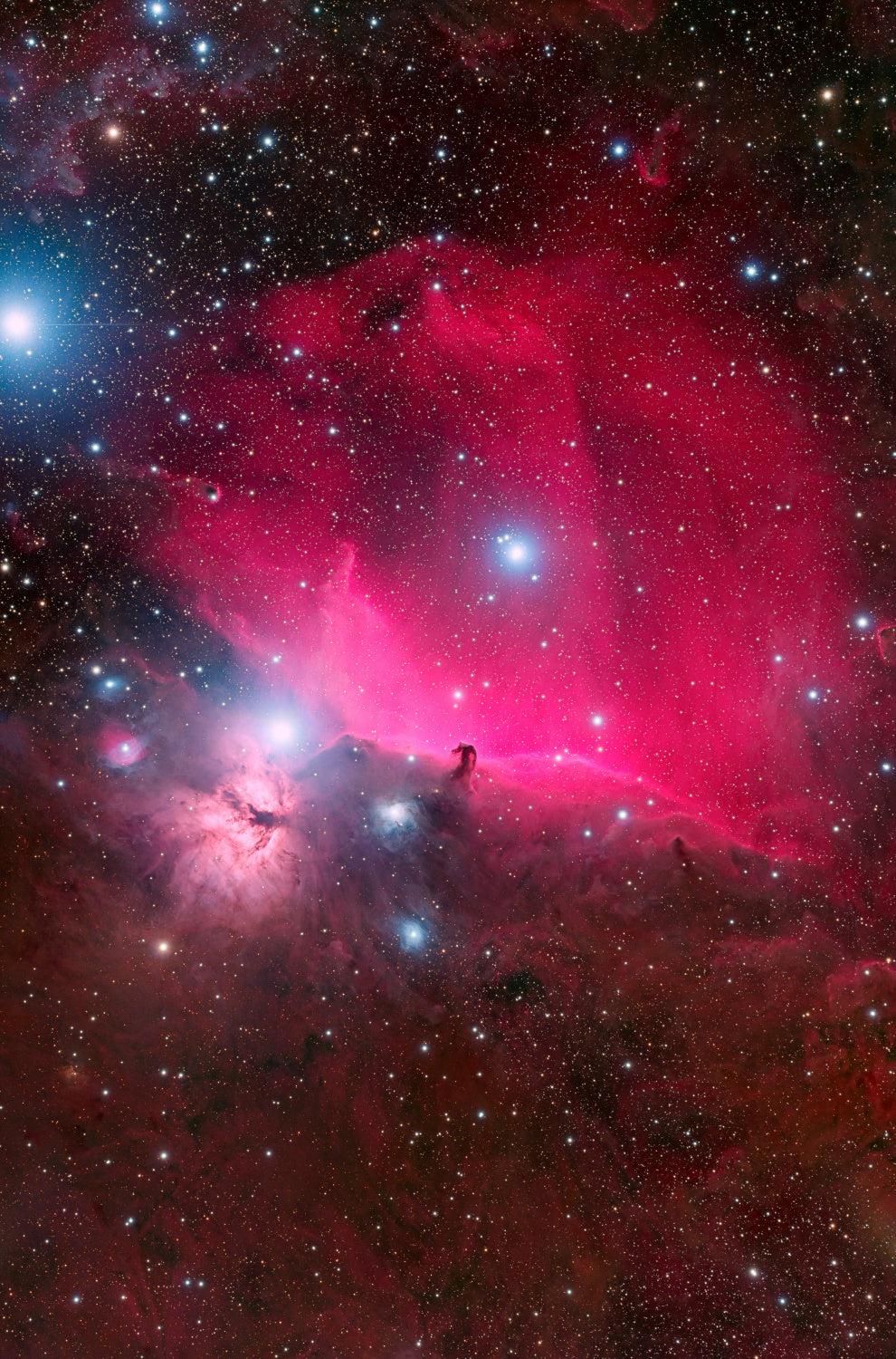 Horsehead nebula Poster och Canvastavla