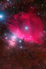 Horsehead nebula Poster och Canvastavla