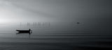 Morning silence Poster och Canvastavla