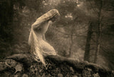 On a stone in the forest. Poster och Canvastavla